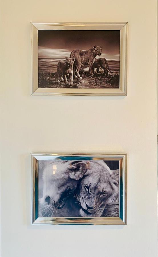 The Sleeping Lion - Dunoon Holiday Home Kültér fotó
